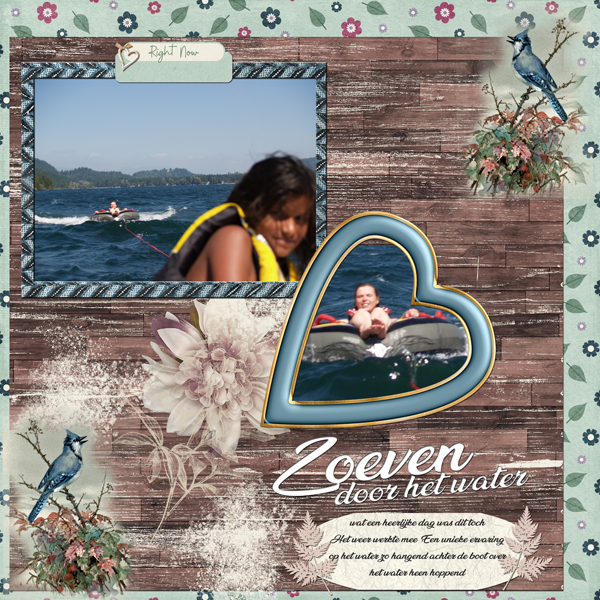 Zoeven door het water