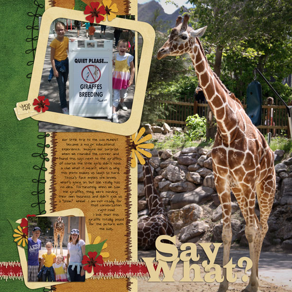 Zoo-2011-2WEB