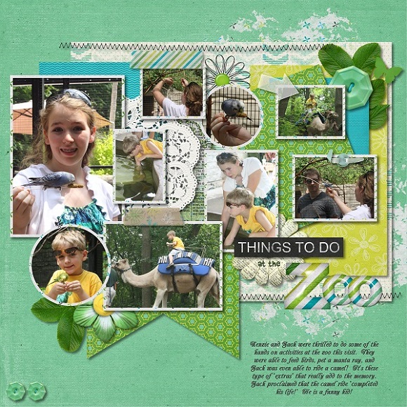 Zoo Activities