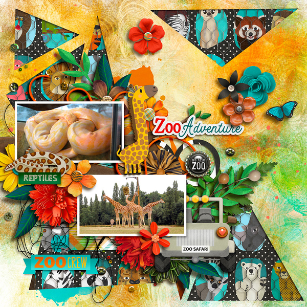 Zoo adeventure