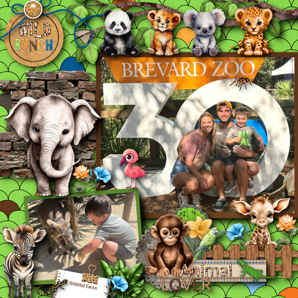 Zoo Adventure