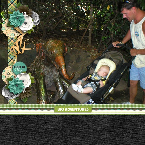 Zoo Babies