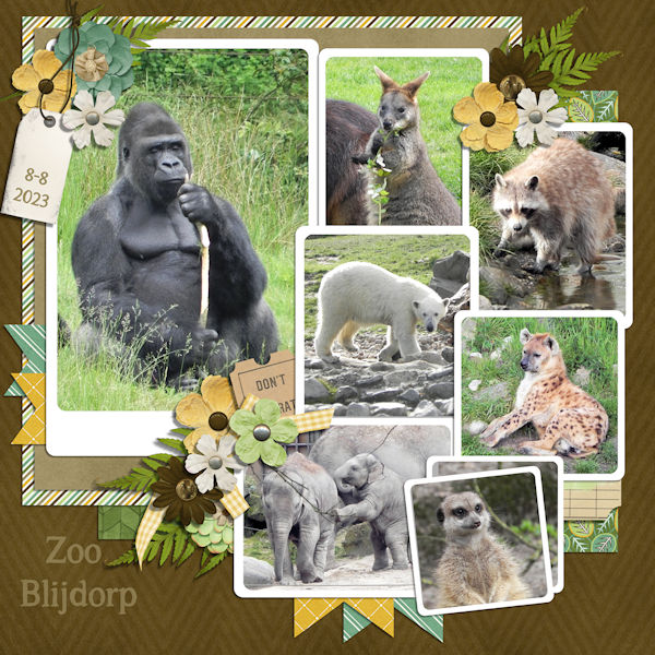 Zoo Blijdorp