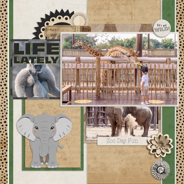 Zoo day fun