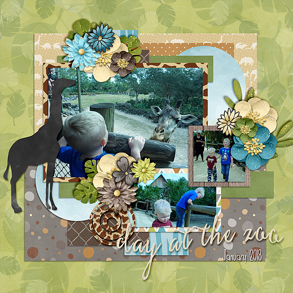 zoo-day-jan-18-giraffe