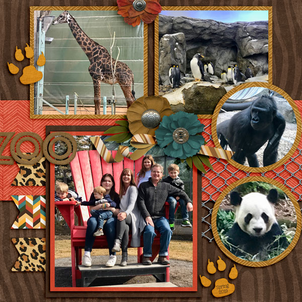 Zoo Day