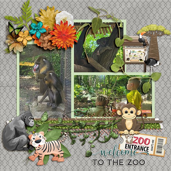 Zoo Day