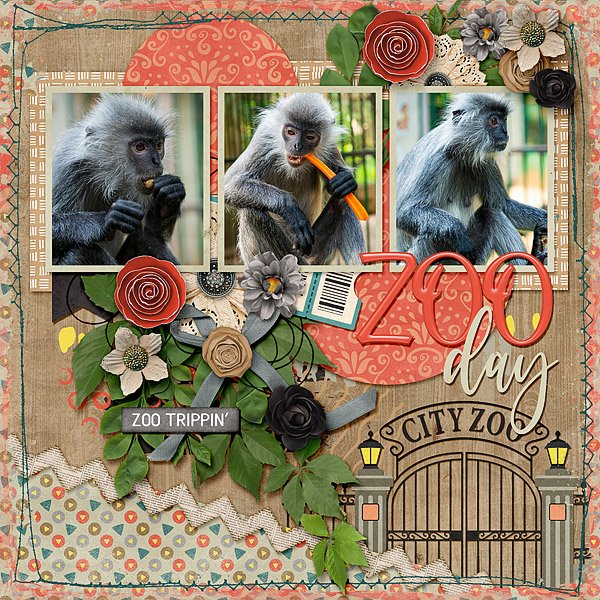 Zoo Day
