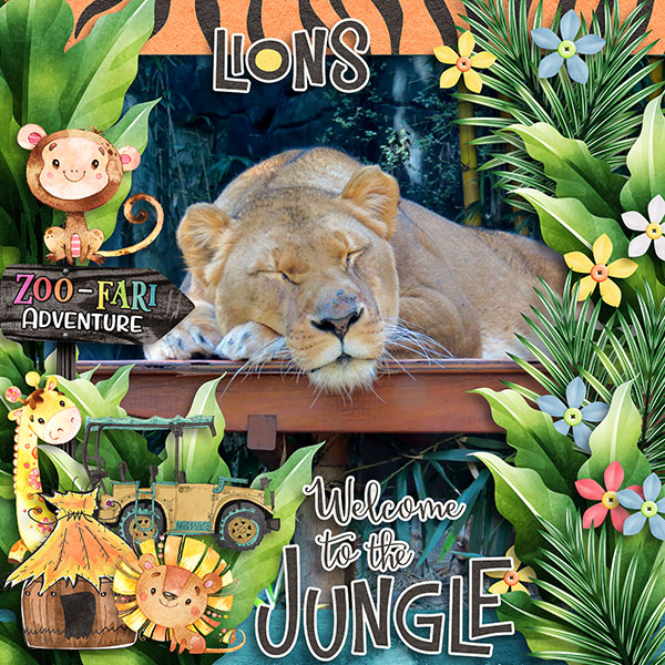 Zoo-fari