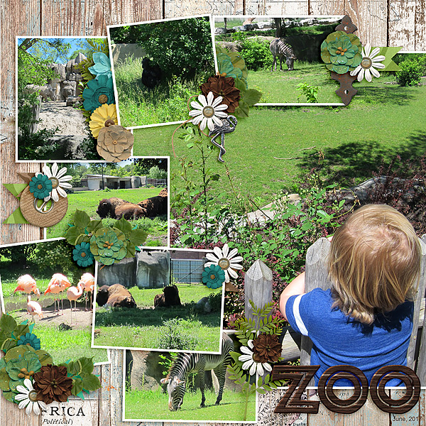 Zoo: June, 201