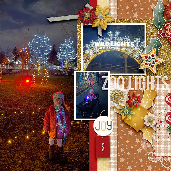 Zoo Lights lhs