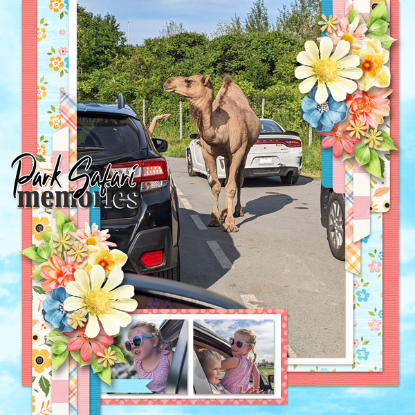 zoo memories