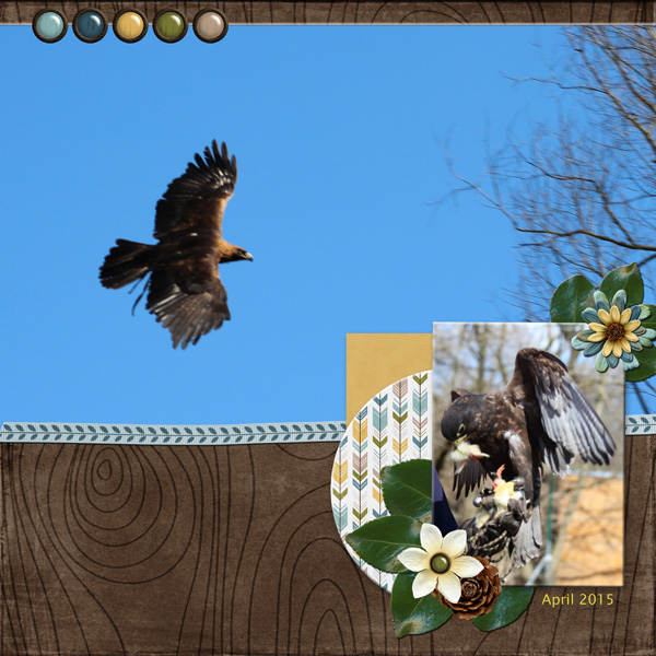 Zoo Munich 2015