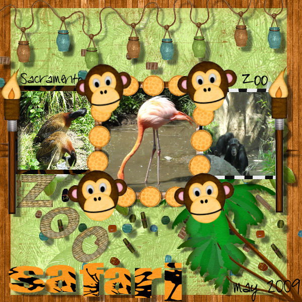 Zoo Safari