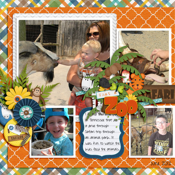 Zoo Safari