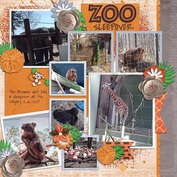 Zoo Sleepover