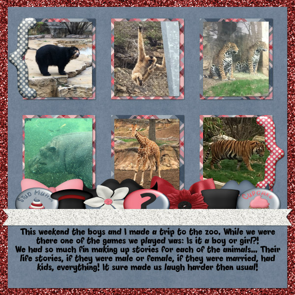 Zoo Stories