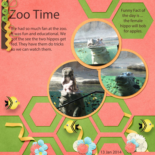 Zoo Time