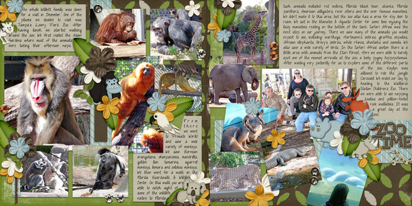 Zoo Time