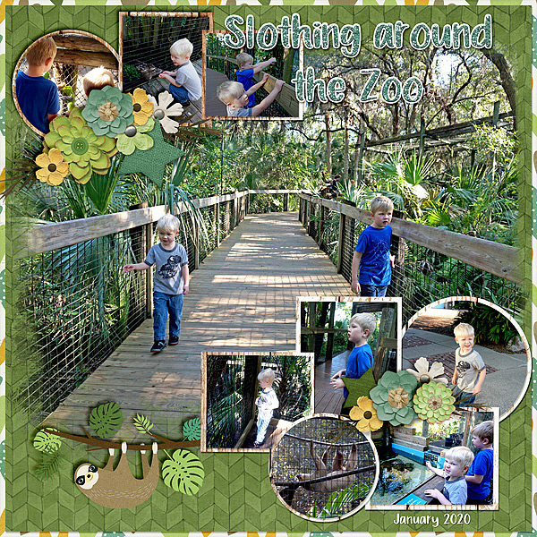 zoo-trip-120