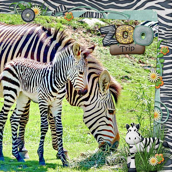 Zoo Trip