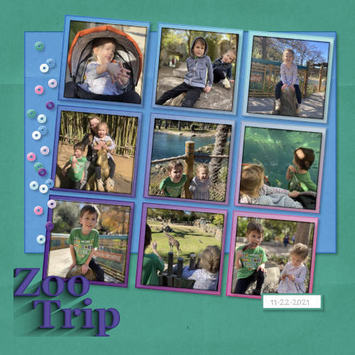 Zoo Trip