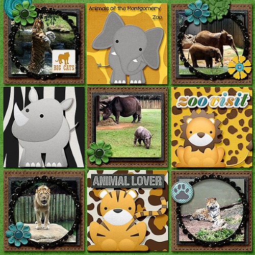 Zoo Visit