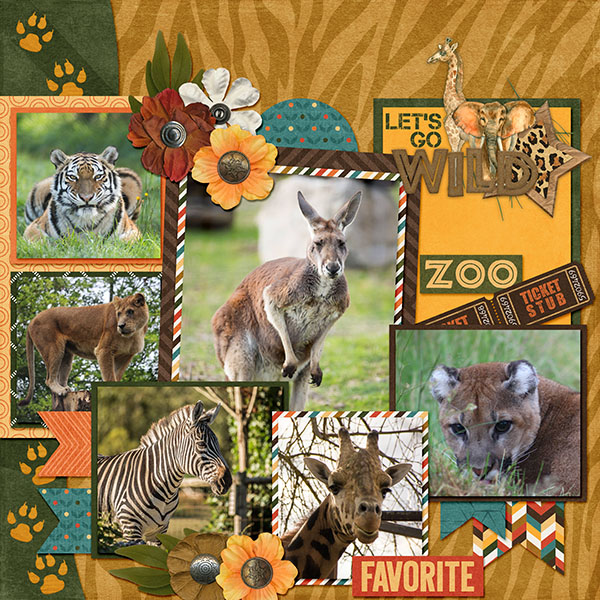 Zoo Visit
