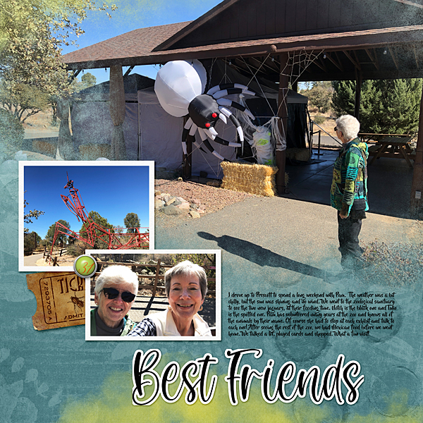Zoo Visit