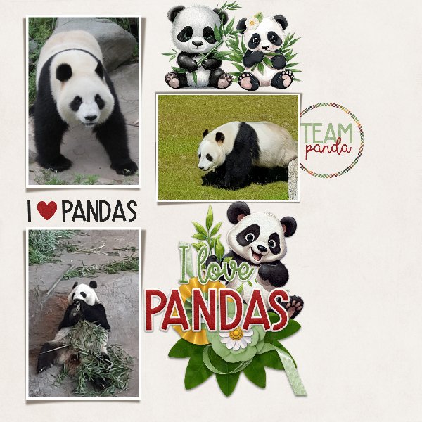 zoo visit