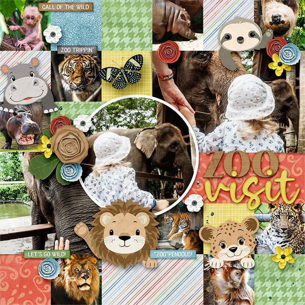 Zoo Visit