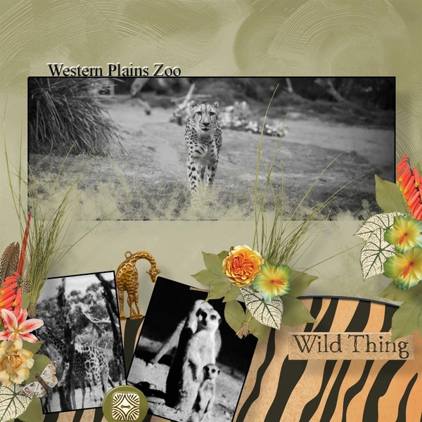 Zoo