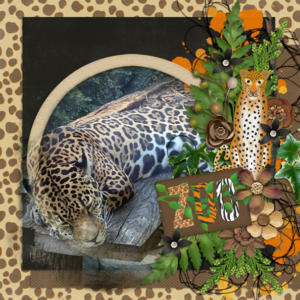 Zoo