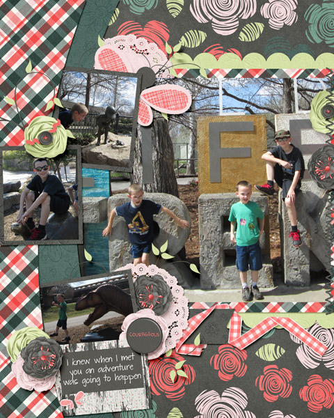 zoo12
