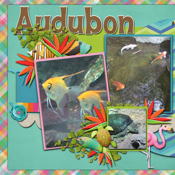 Zoo_2013_TropicalAloha_cmg_mhd_HH_templateL