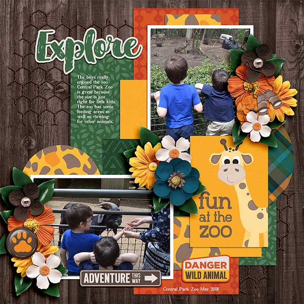 zoofun1