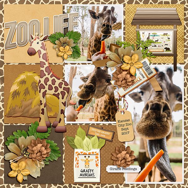 ZooLife.jpg