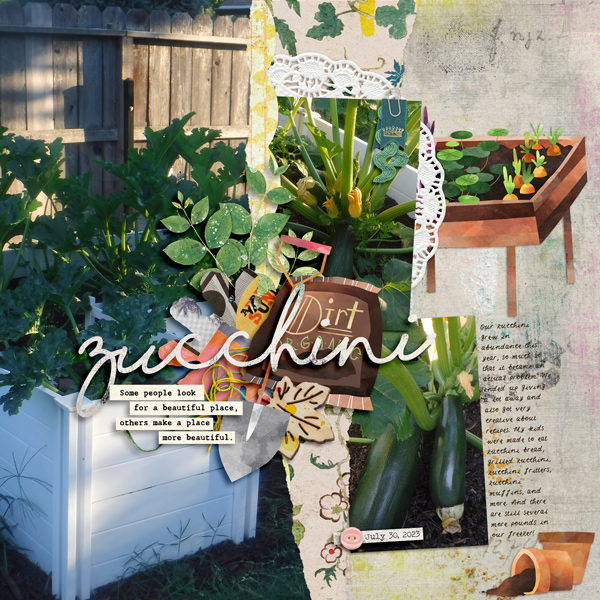 Zucchini
