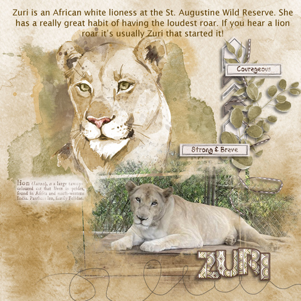 Zuri