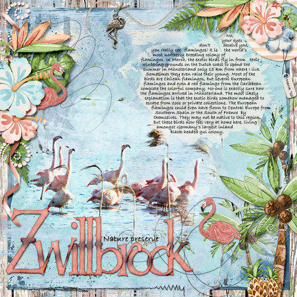 Zwillbrock